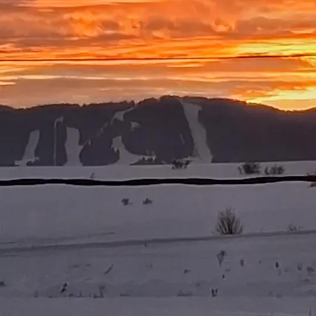 Vuvuzela クープレス